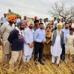 कृषि विभाग के 500 से अधिक कर्मचारी फसलों के नुकसान का लेंगे जायजा: गुरमीत सिंह खुड्डियां