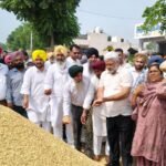 पंजाब की अनाज मंडियों में अब तक 8.50 लाख मीट्रिक टन धान की आवक, 7.50 लाख मीट्रिक टन की खरीद: लाल चंद कटारूचक
